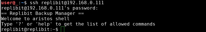Successful login to the Replibit SSH service