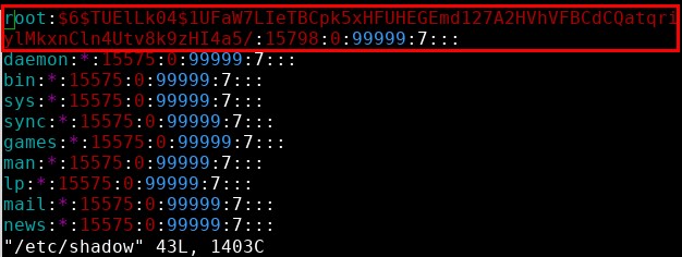 The root user's password hash contained in /etc/shadow